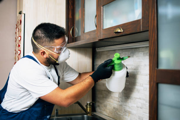 Best Wasp Removal Services  in Estelle, LA