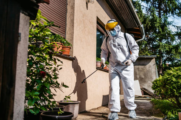 Best Flea Control Services  in Estelle, LA