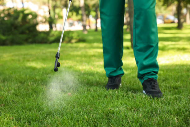 Best Emergency Pest Control  in Estelle, LA