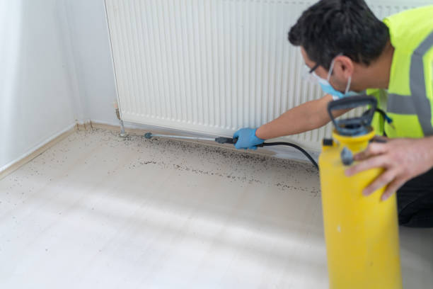 Wasp Removal Services in Estelle, LA