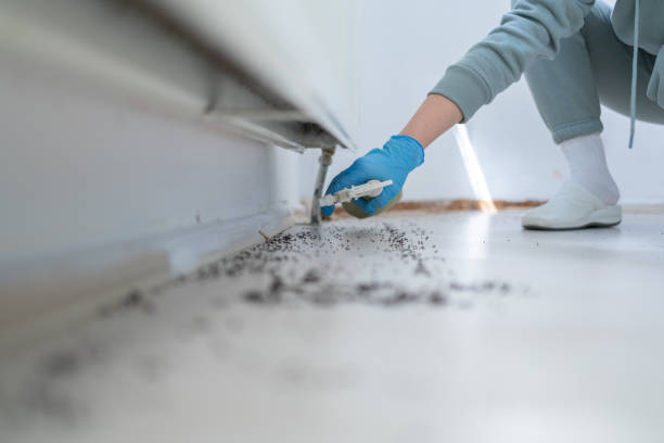 Best Exterminator Services  in Estelle, LA