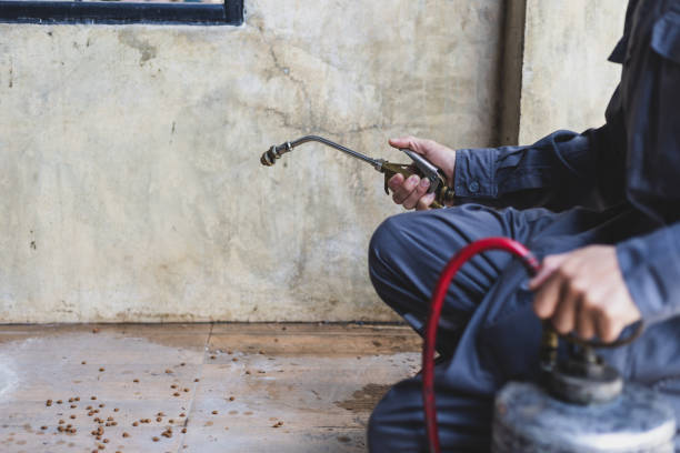 Professional Pest Control in Estelle, LA